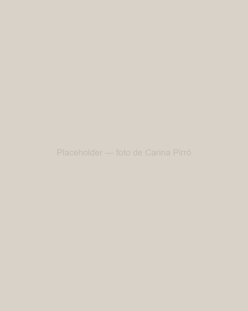 Retrato principal de Carina Pirró